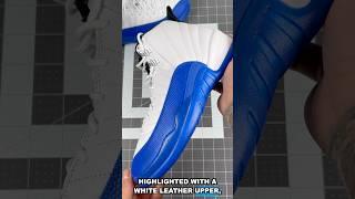 AIR JORDAN 12 BLUEBERRY 2024 IN-HAND LOOK + SHORT REVIEW 