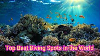 Top 10 Best Dive Spots in the World