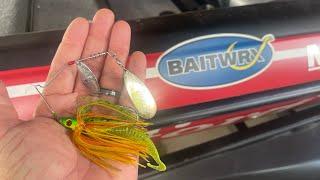 Is The Famous Rick Clunn Trickster Spinnerbait Any Good?