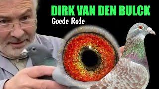 DIRK VAN DEN BULCK - The Three Bloodlines