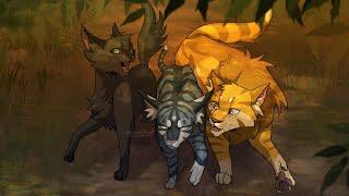 All Half-Clan Cats || Warrior Cats