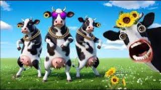 "100% HILARIOUS: Cows Dancing Like Never Before!" funny cow dance | Ce Dancing