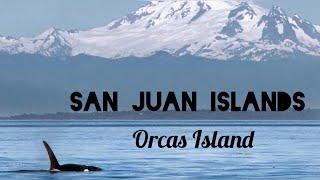 San Juan Islands | Day trip to Orcas Island - Whale Watching | How to reach San Juan Islands?