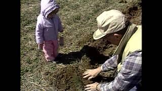 Forrest Kramer throwback news clip