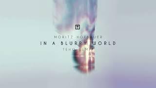 Moritz Hofbauer - In A Blurry World (Teho Remix)