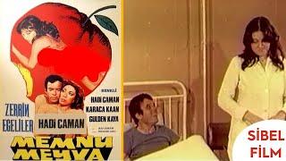 Memnu Meyva Türk Filmi | Hadi Çaman | Zerrin Egeliler | Sibel Film