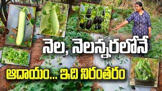 నెలకు జీతం వచ్చినట్లుగా.. వ్యవసాయంలో ఆదాయం | Women Farmer | Shiva Purnima