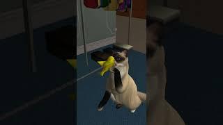 Playful cat #thesims #sims2 #thesims2 #thesims4 #cat #funny #sims4 #games #game