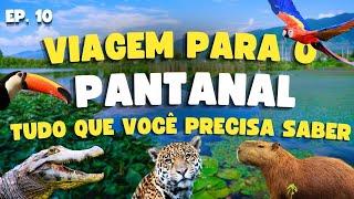 Viagem para o Pantanal | Guia Completo - Preços, dicas, hospedagens, passeios - Ep.10