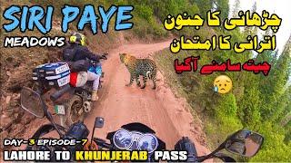 Siri Paye Meadows | Cheetah Samny a Gya | Dangerous Track |Salman xone