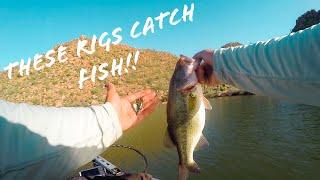 TOP 3 RIGS You HAVE TO KNOW To Fish In ARIZONA!