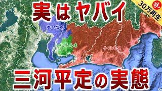 【徳川家康と今川氏真の戦い】実はかなりヤバイ 三河平定戦の実態（三州錯乱）【道と地形図で合戦解説】