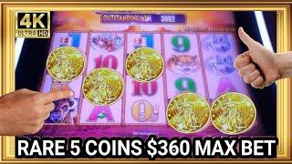 NEW 5 RARE COINS with HUGE JACKPOTS | Buffalo Gold Collection Slot