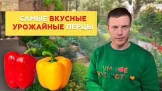 Перцы, Которые Поражают Урожайностью и Вкусом ️