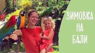 Зимовка на острове Бали: 5 причин интересно и недорого отдохнуть с ребенком | Family is...