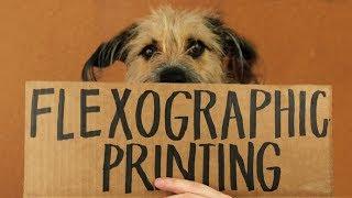 What is Flexographic Printing?