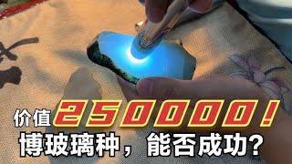 400克价值25万的玉料！博玻璃种能否成功？