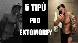 5 TIPŮ PRO EKTOMORFY | Jak nabrat a neztrácet svaly