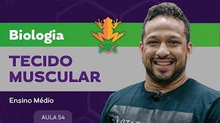 Tecido muscular - Biologia - Ensino Médio