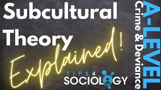 Subcultural Theory Explained! | Crime and Deviance | A-Levels | Sociology | Revision