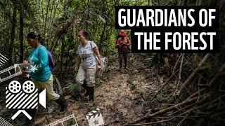 Meet the Guardians of the Forest | WWF