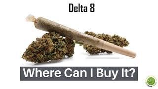 Delta 8 Flower - What Does It Feel Like and Where Can You Buy Some? Answer Here