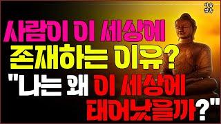 사람이 이 세상에 존재하는 이유... 부처님의 가르침으로 듣는 인생의 의미