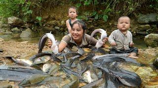 How to catch giant fish on a rainy day with your children and bring them to the market to sell