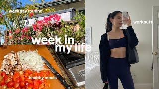 week in my life: daily routine, workouts, finance + fall favorites