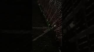 night walk VID 20221103 205706157