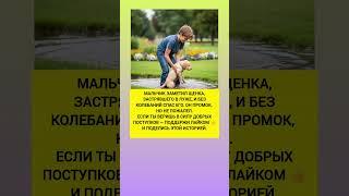 Мальчик спас щенка из лужи… Его поступок растрогал всех! Душевная история из жизни. #история #добро