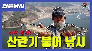 [4K] 어신 김철규의 서산 풍전지 산란철 봄 붕어 낚시