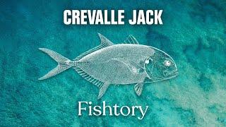 Catching Crevalle Jack: Everything You Need To Know | Fishtory