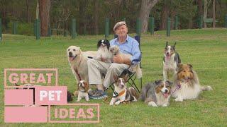 Dr Harry Shares the Best Sports for Dogs | PET | Great Home Ideas