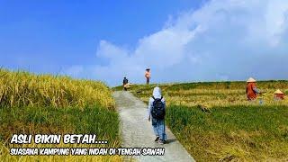 KAMPUNG  YANG INDAH  DI TENGAH SAWAH SUASANA SEJUK TENTREM  AYEM BIKIN RINDU KAMPUNG HALAMAN