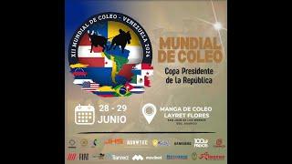 XII MUNDIAL DE COLEO VENEZUELA 2024 DIA 1 Link 2