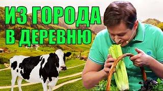 Из города в деревню! Свежий воздух и умиротворение, жизнь в деревне как она есть! | Приколы 2021