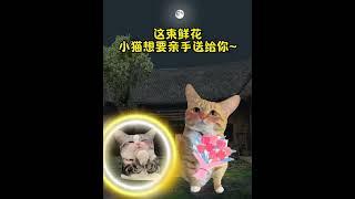 宝宝请把手放进去  #貓 #猫猫meme小剧场 #猫meme #内容过于真实 #猫meme小剧场 #猫meme剧场 #喵不可言 #shorts