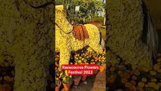 Racecourse Flowers Festival 2023 | Muhibvlogs #trending #shorts #winterfestival2023 #flowers #trend