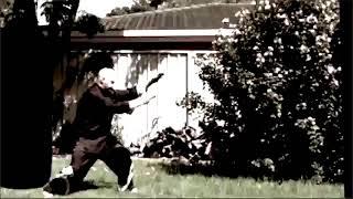 WUSHU  DAOSS    ---  TAICHI   ---- 18  FURM  ////  PAK MEI ////   ----   УШУ  ДАОСС  18  ФОРМ   ...