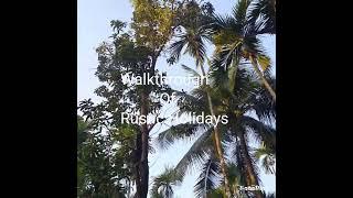 walkthrough of Rustic Holidays