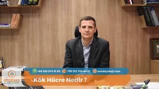 KÖK HÜCRE NEDİR HANGİ HASTALIKLARIN TEDAVİSİNDE KULLANILIR?