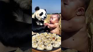 The red panda and the baby are fighting over the dumplings. They taste so delicious and so cute! R
