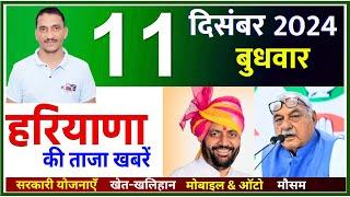 11 December 2024 Haryana News || हरियाणा की ताजा खबरें || Haryana Live News || CWB Hindi News