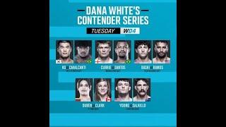 Dana White's Contender Series 2024: Week 4 Predictions