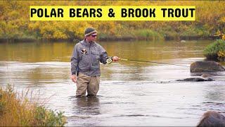 Polar Bears & Brook Trout