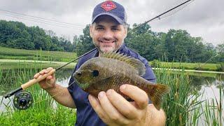Fly Fishing Tour Bluegill Pond 2020 First Time