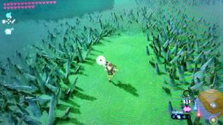 Easy Hightail Lizard Farming Breath of the Wild