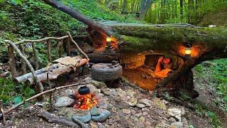 Bushcraft SURVIVAL Shelter; Building a Natural Dugout inside Big Tree. Fish Cooking. ASMR Camping