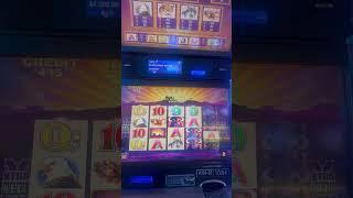 Buffalo Slots 🪙 Bonus Video #buffaloslot #casino #slotmachinebonus